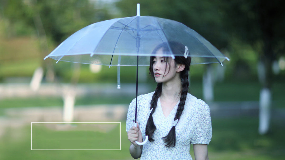 Clear Umbrella Wedding Style Stick Umbrellas Large Canopy Windproof Bulk Auto Open Umbrella