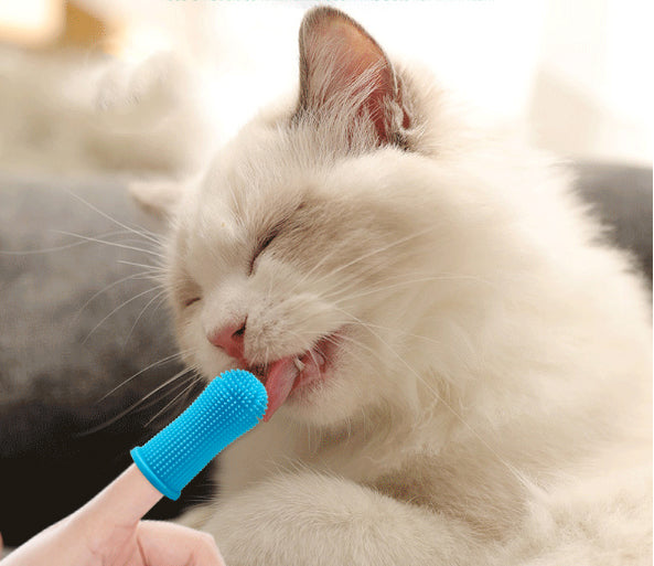 Dog & Cat Toothbrush, 360º Dog Tooth Brushing Kit