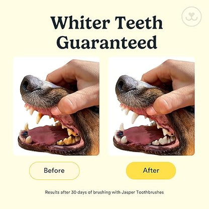 Dog & Cat Toothbrush, 360º Dog Tooth Brushing Kit