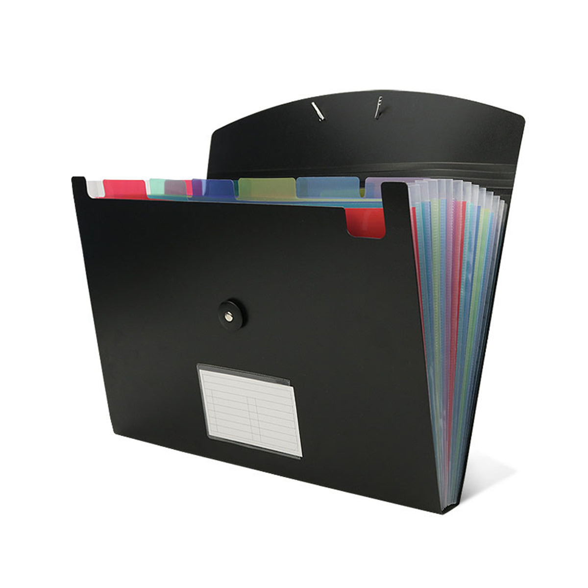 File Organizer13 Pocket Expanding File Folder with Labels, Plastic Expandable File Folder