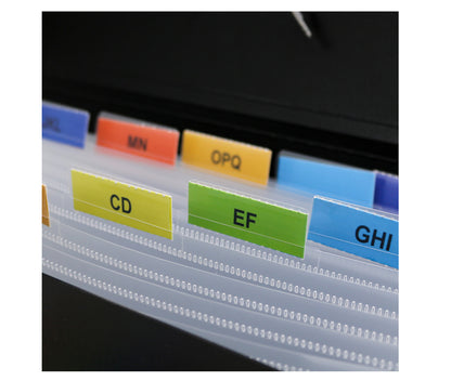 File Organizer13 Pocket Expanding File Folder with Labels, Plastic Expandable File Folder