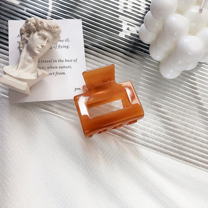 Hair Clips for Women Neutral Rectangle Hair Clips