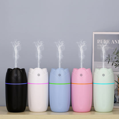 300ml USB Cool Mist Humidifier With Colorful Lights