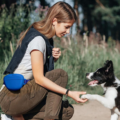 Silicone Treat Bag Fanny Pack With Waist Belt for Pet Training Walking