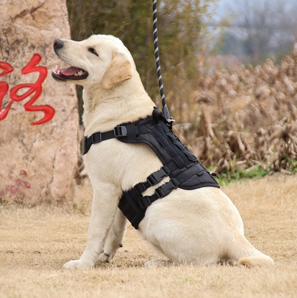 Dog Vest for Hiking Training Outdoor