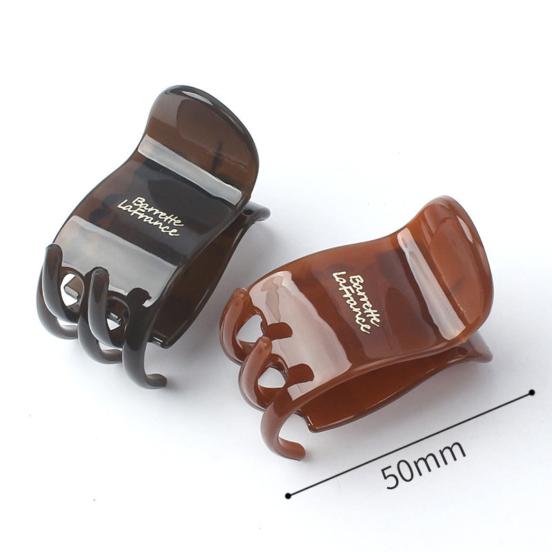 Elegant & Practical Transparent High-Up Hair Clamp W/Multi-Functional Claw Clip