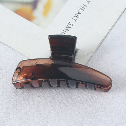 Amber Tortoise