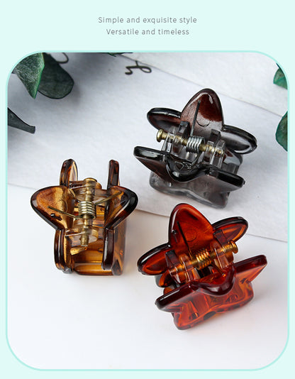 Matte Mini Transparent Starry Bang Clip