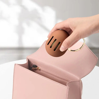 Portable Storage