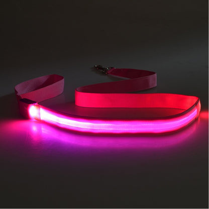 47" LED Light Up Dog Leash